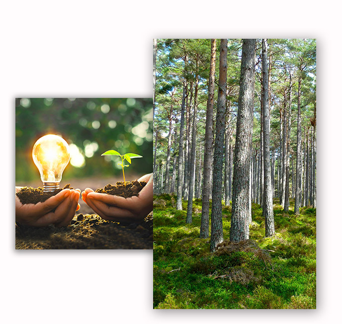 img-slider-verticale